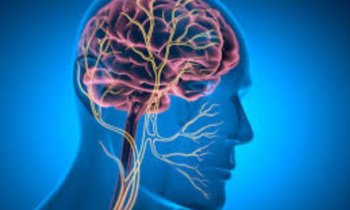 Cracking Cachexia: Brain–Liver Link in Cancer