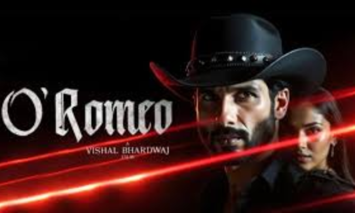 O Romeo Review: Mira Rajput Praises Shahid Kapoor